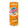 Oasis tropical