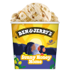Ben & Jerry's Sunny Honey Home 465ml